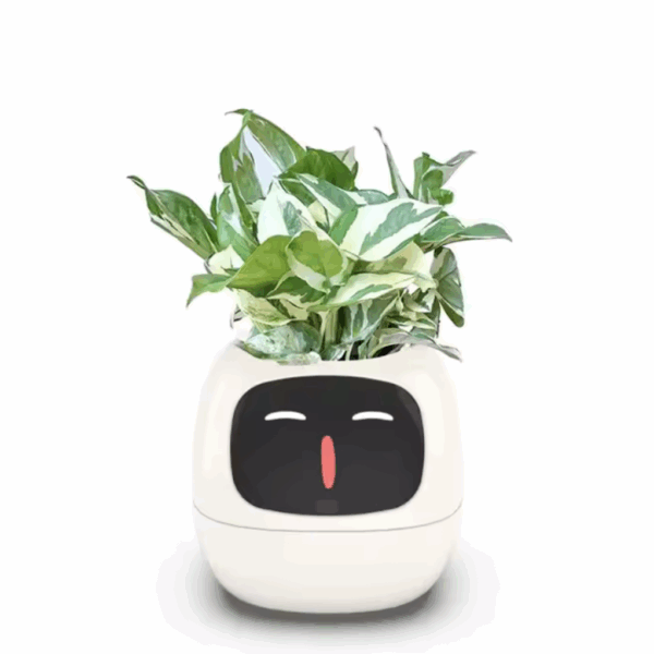 Tuya Ivy Smart Planter - Image 3