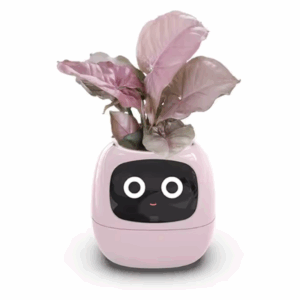 Tuya Ivy Smart Planter