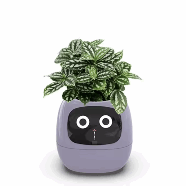 Tuya Ivy Smart Planter - Image 2